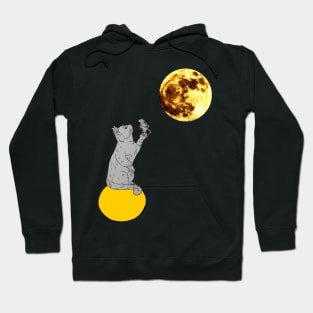 A cat catches a mouse in a moon Hoodie